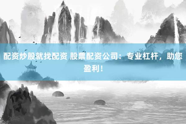 配资炒股就找配资 股票配资公司：专业杠杆，助您盈利！