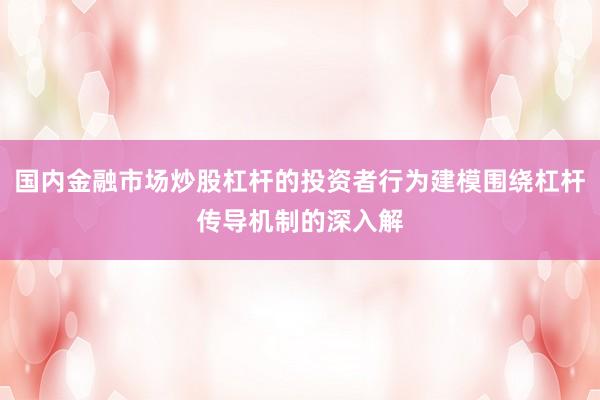 国内金融市场炒股杠杆的投资者行为建模围绕杠杆传导机制的深入解
