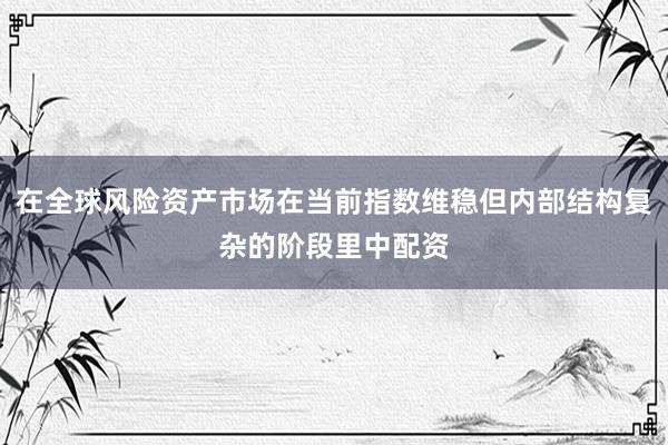 在全球风险资产市场在当前指数维稳但内部结构复杂的阶段里中配资