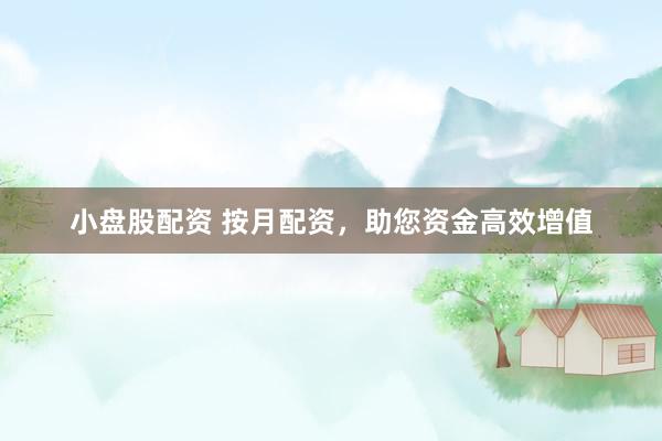 小盘股配资 按月配资，助您资金高效增值