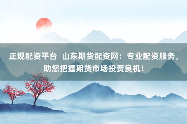 正规配资平台  山东期货配资网：专业配资服务，助您把握期货市场投资良机！