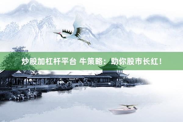 炒股加杠杆平台 牛策略：助你股市长红！
