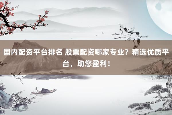 国内配资平台排名 股票配资哪家专业？精选优质平台，助您盈利！
